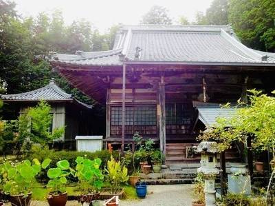 宝厳寺,見どころ,あっきー
