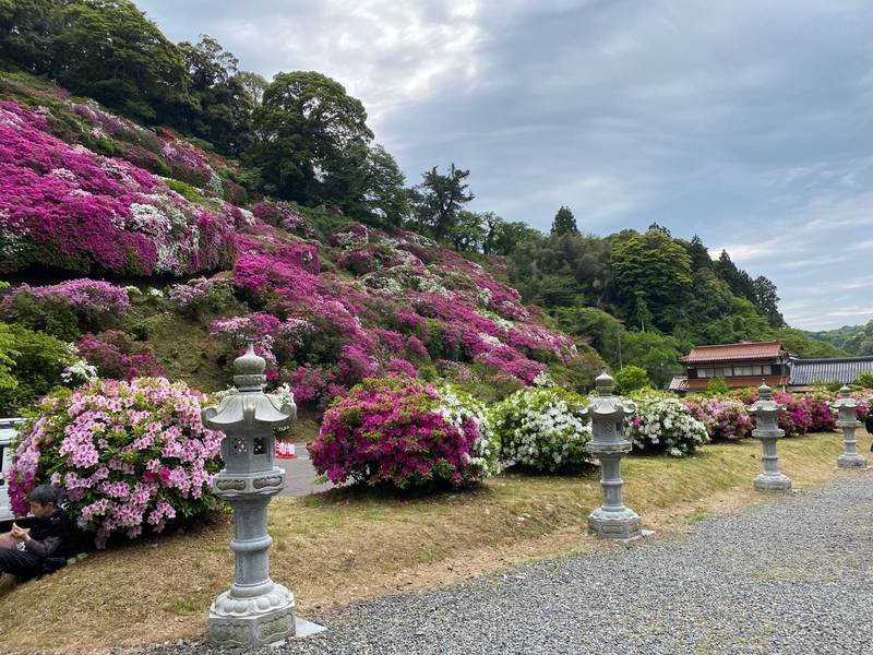 三隅神社,島根県浜田市三隅町三隅１５３９−１