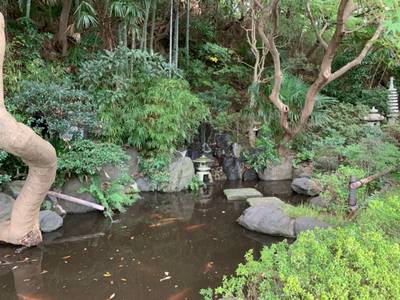 持明院,見どころ,とと