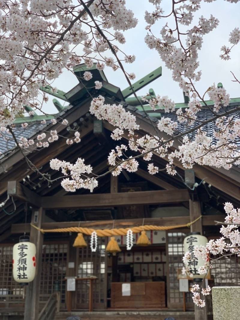 宇多須神社 見どころ 金沢市 石川県 Omairi おまいり 宇多須神社 見どころ 金沢市 石川県 Omairi おまいり