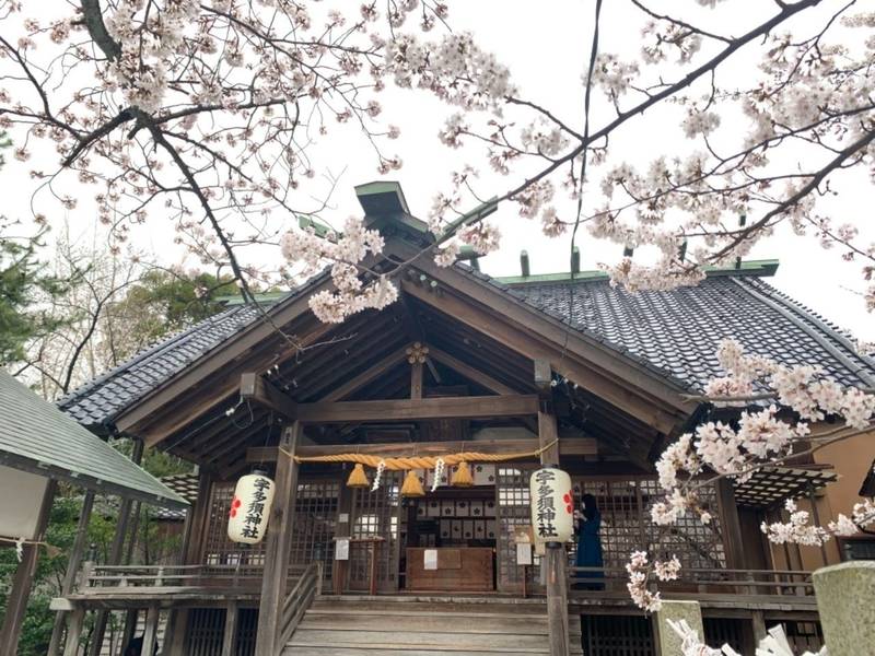 宇多須神社 見どころ 金沢市 石川県 Omairi おまいり 宇多須神社 見どころ 金沢市 石川県 Omairi おまいり