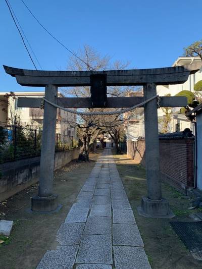 日枝神社   (原木),見どころ,MOLTRES