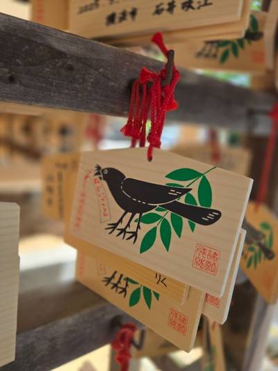 師岡熊野神社,見どころ,陽の当たる場所