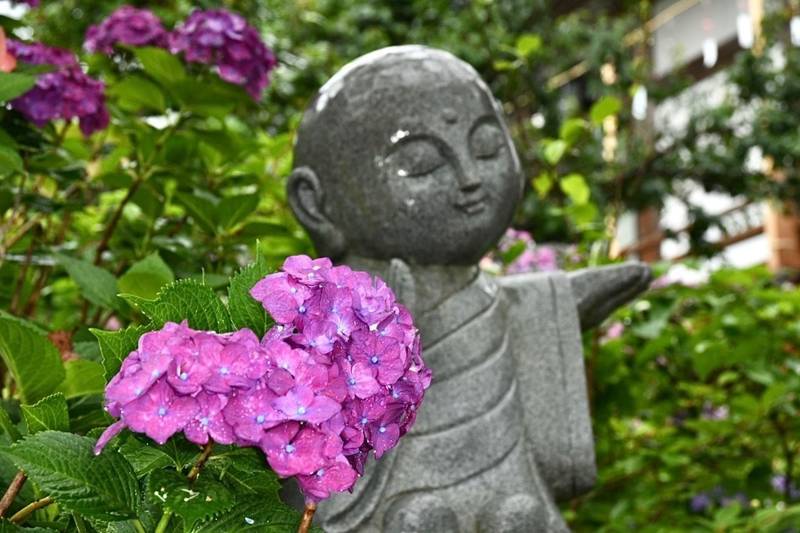 観音寺 広島市 見どころ 広島市 広島県 Omairi おまいり