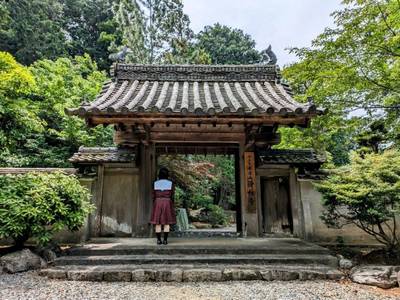 浄林寺,見どころ,平沢凛