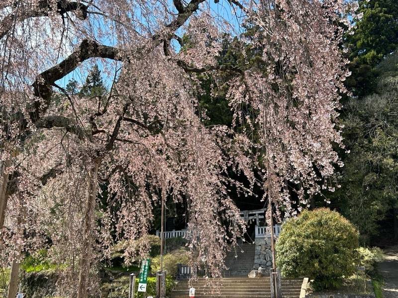 麻績神社,長野県飯田市座光寺2516