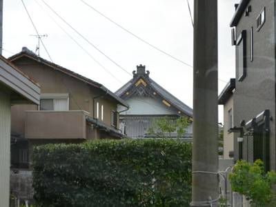 善敬寺,見どころ,