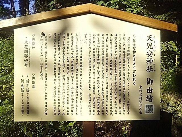 天児安神社,埼玉県秩父郡東秩父村皆谷87