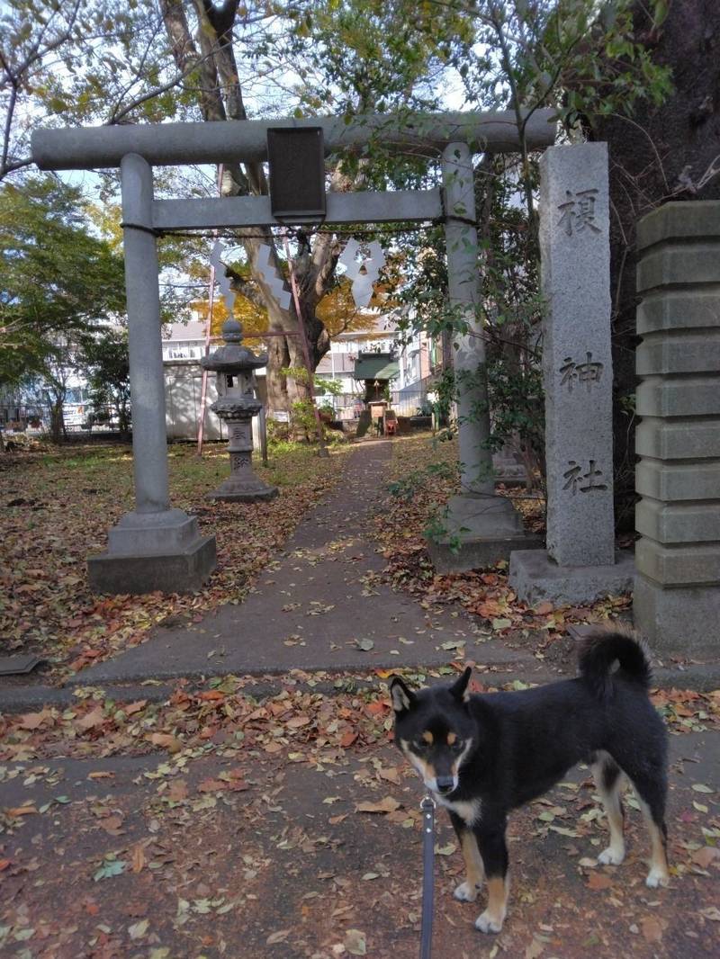 榎神社,神奈川県相模原市中央区横山台2-16