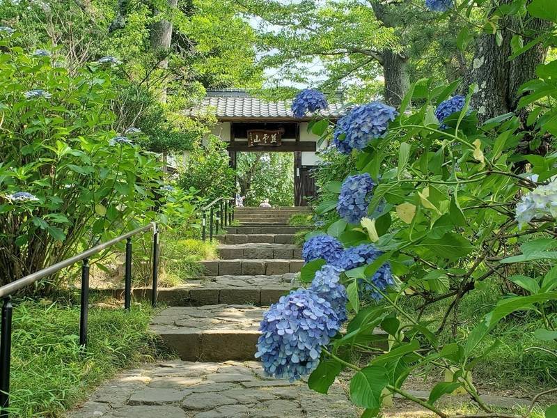 資福寺,宮城県仙台市青葉区北山１−１３−１
