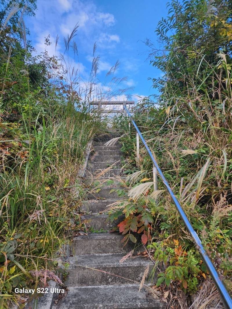 秋葉神社 (山形市蔵王上野),山形県山形市蔵王上野字大平2415-1
