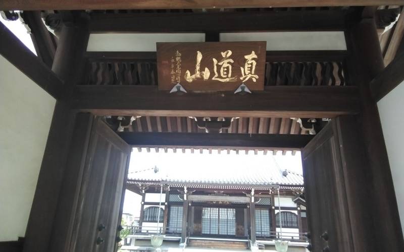 真道山 大聖寺,静岡県浜松市中央区幸4-35-20