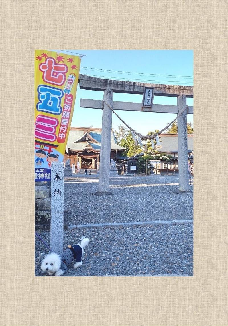 天王宮 大歳神社 授与品 浜松市 静岡県 Omairi おまいり 天王宮 大歳神社 授与品 浜松市 静岡県 Omairi おまいり