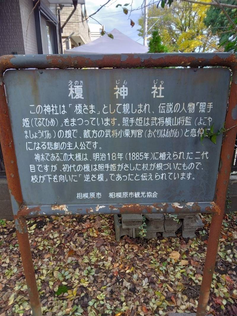 榎神社,神奈川県相模原市中央区横山台2-16