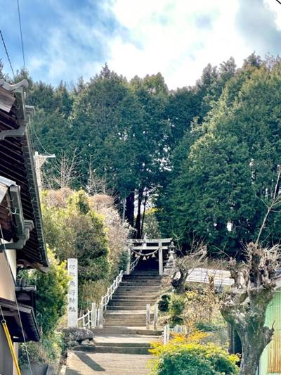 永野神社,見どころ,を神
