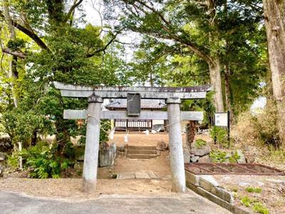 浅尾三嶋神社,見どころ,vasek