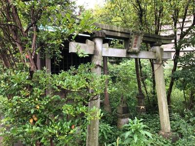 福寿稲荷神社   (小机),見どころ,you