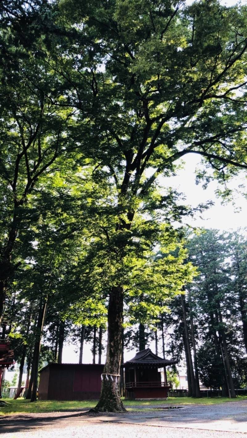 愛宕神社,埼玉県秩父市大野原340-2