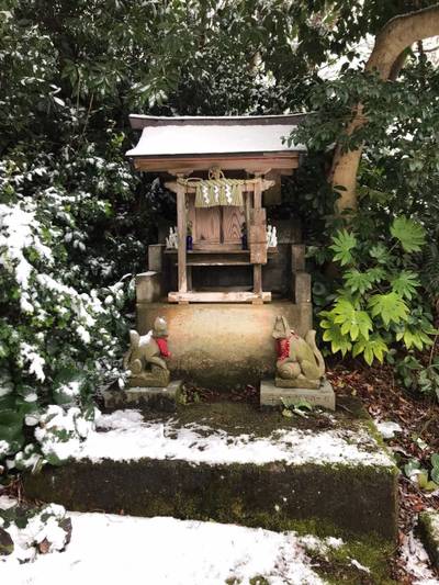 白山媛神社,見どころ,なかじぃ