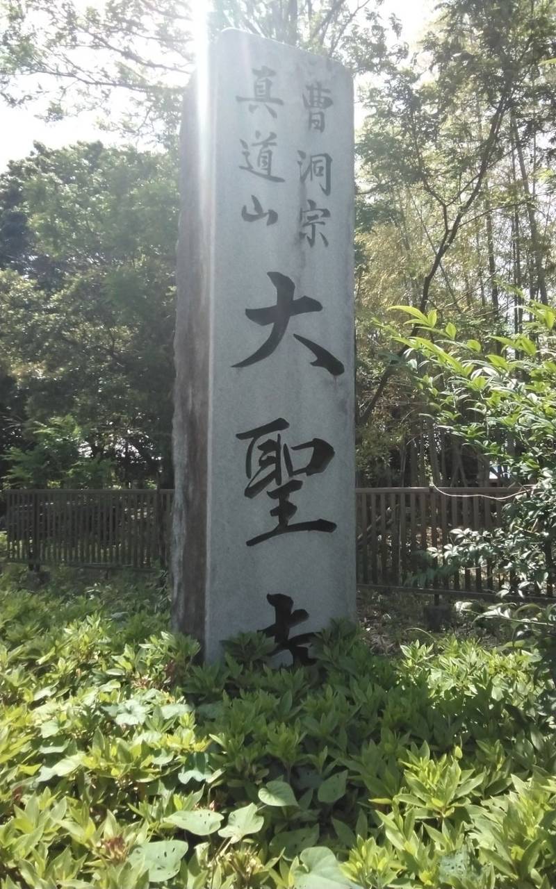 真道山 大聖寺,静岡県浜松市中央区幸4-35-20