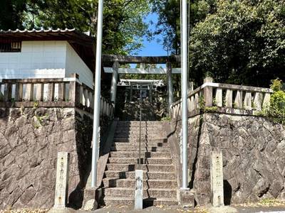 高田神社,見どころ,を神