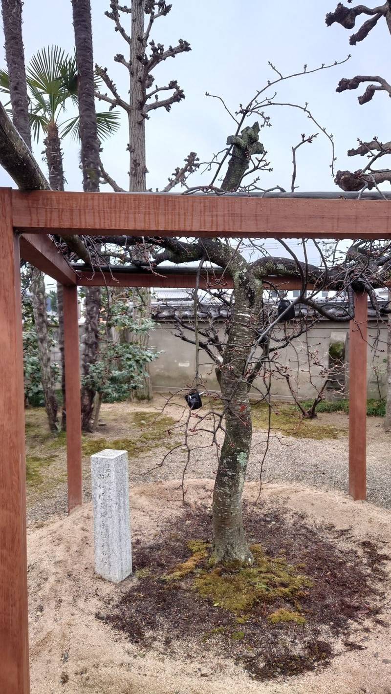 光徳寺,兵庫県姫路市阿保７３０−１