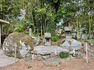 浅尾三嶋神社,見どころ,vasek