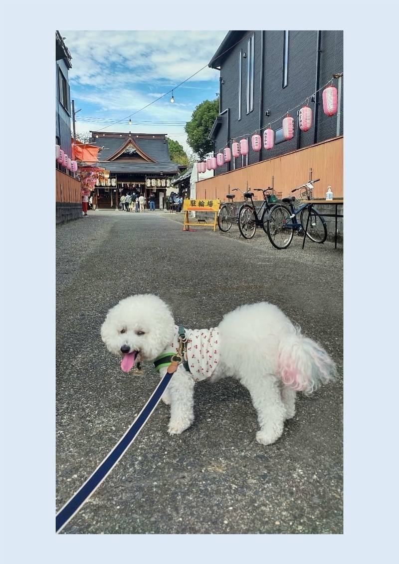 西宮神社,静岡県静岡市葵区横田町５