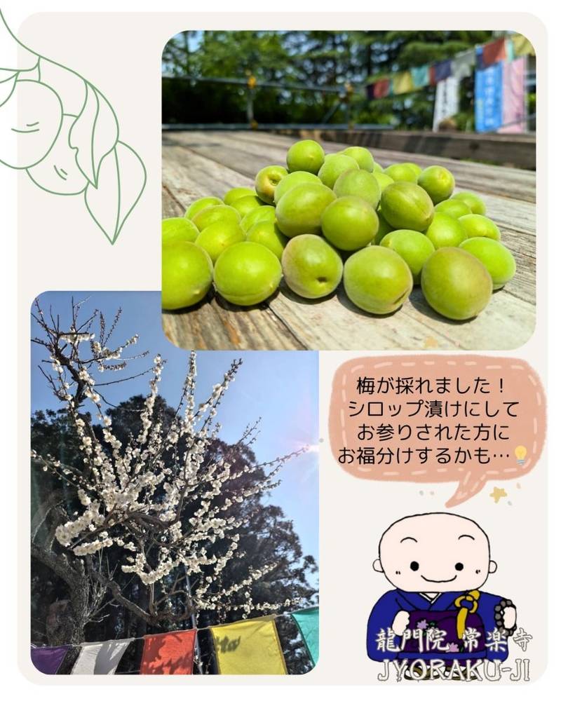 常楽寺,埼玉県秩父市熊木町43-28