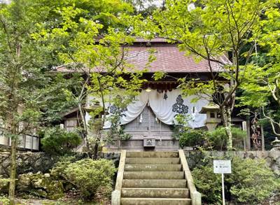 安坂神社,見どころ,を神