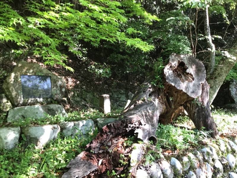 継桜王子,和歌山県田辺市中辺路町野中591