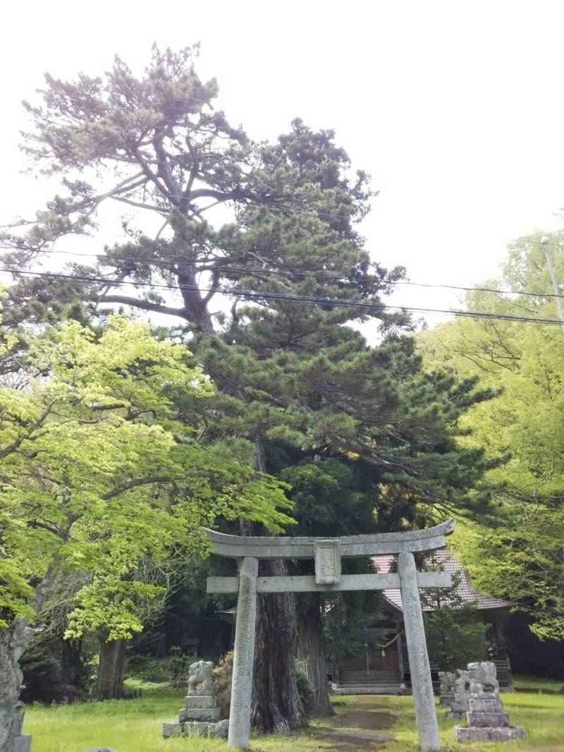 多里神社,鳥取県日野郡日南町新屋70