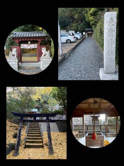 東雲神社   (丸山東照宮),見どころ,しま