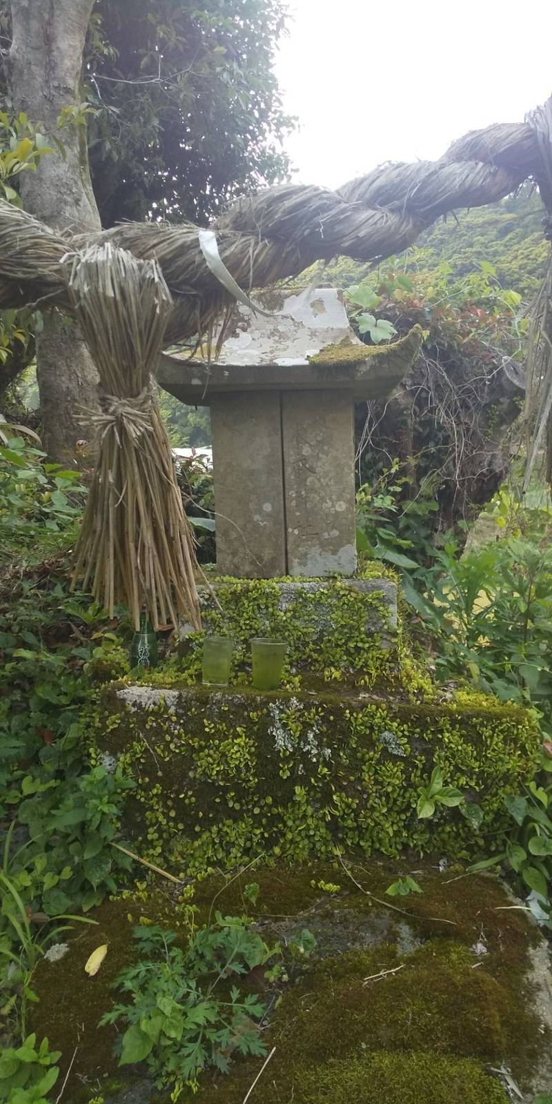 姫神社,長崎県佐世保市吉井町梶木場681