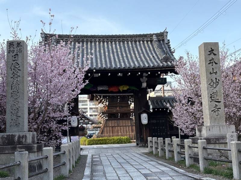 妙蓮寺,京都府京都市上京区寺之内通大宮東入る妙蓮寺前町875