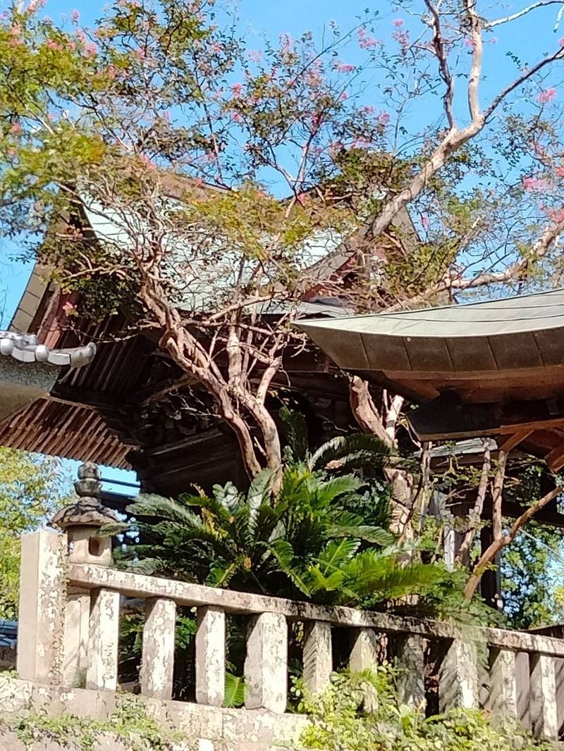 須留田八幡宮,高知県香南市赤岡町2221