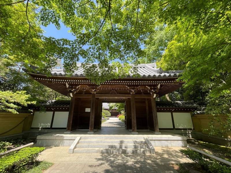 観泉寺,東京都杉並区今川2-16-1