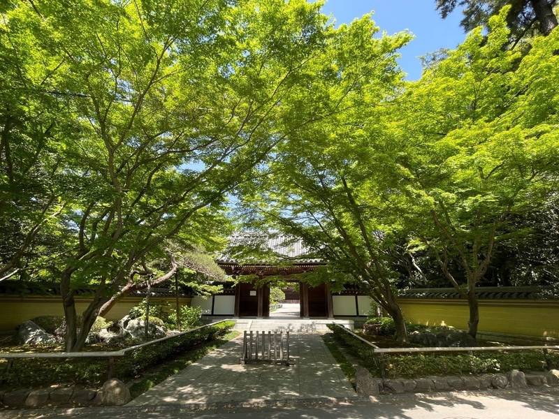 観泉寺,東京都杉並区今川2-16-1