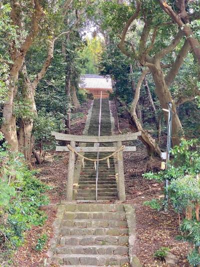 日吉神社   (蒲郡市豊岡町),見どころ,を神