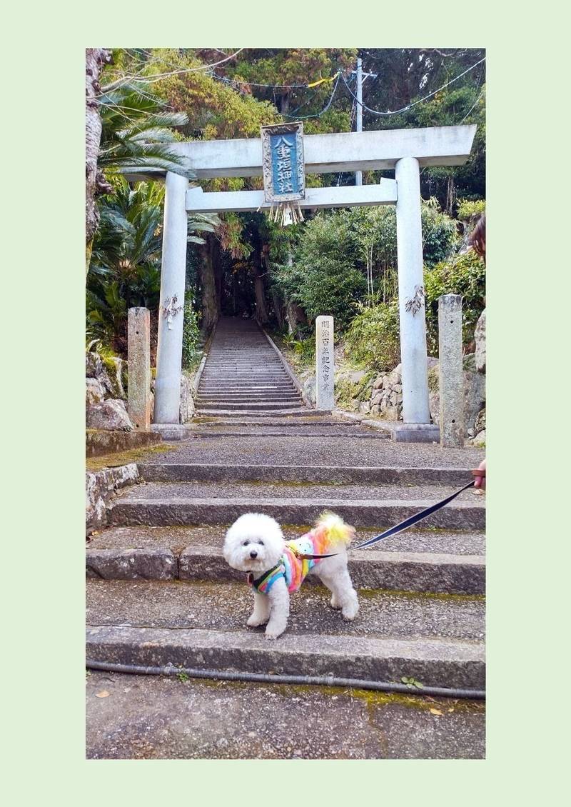 八重垣神社       (渡鹿野島),三重県志摩市磯部町渡鹿野