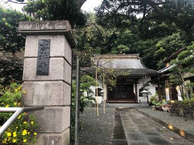雲林寺,見どころ,you