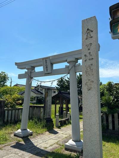 金刀比羅宮  (新花町),見どころ,あんぱん