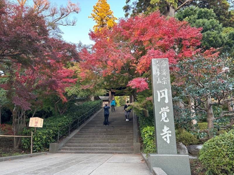瑞鹿山 円覚寺 舎利殿,神奈川県鎌倉市山ノ内431 (円覚寺内)