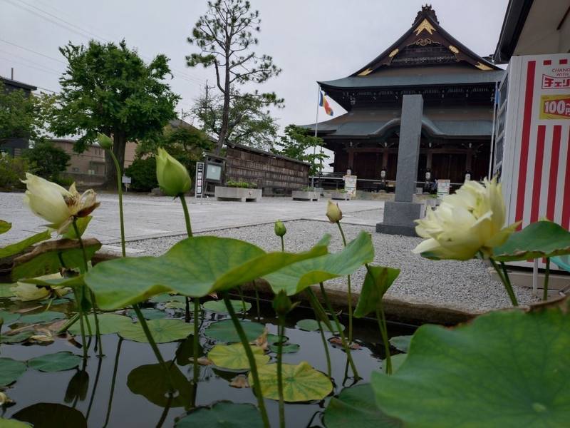 善光寺東海別院  (祖父江善光寺),愛知県稲沢市祖父江町祖父江字南川原57-2