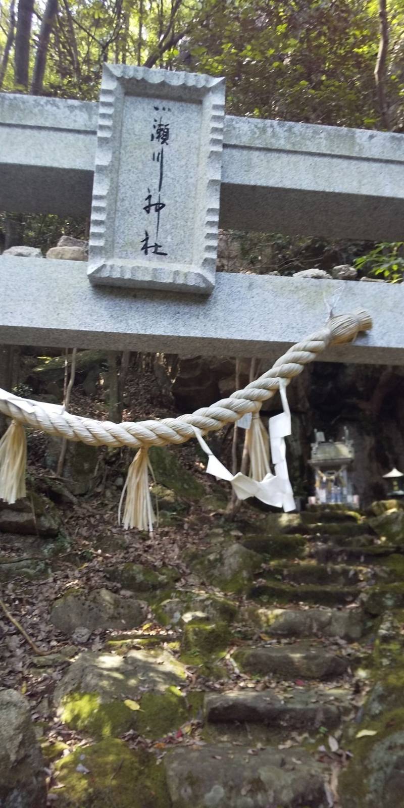 小瀬川神社の見どころ