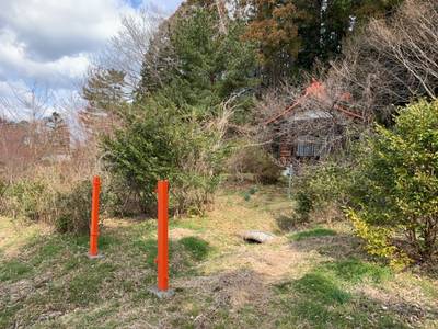 大甕神社,見どころ,GT23