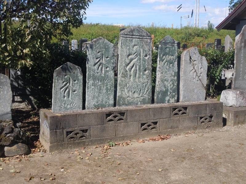 泉福山 瑠璃光院 照岩寺,埼玉県行田市北河原736