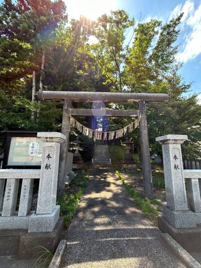諏訪神社   (大久保),見どころ,あんぱん