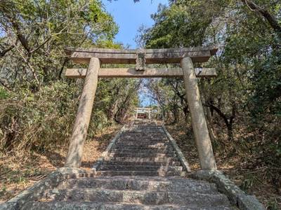 櫻八幡神社,見どころ,たこたこ