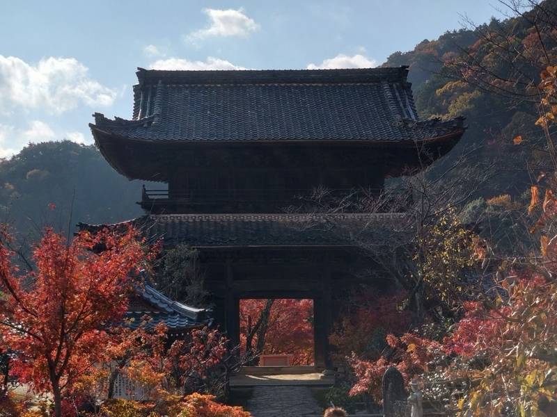 行基寺,岐阜県海津市南濃町上野河戸1024-1